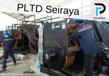 A close-up of a colorful flower in bloom
